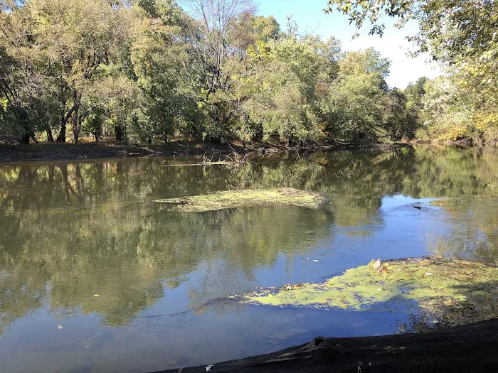 Walker Avenue Wetlands Picture 3