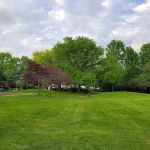 Hills of Troy Park