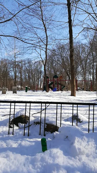Alden Haswell Field & Playground Picture 9