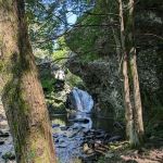 Grace Lord Park