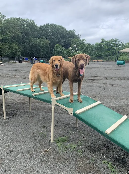 Hilltop Reservation Dog Park Picture 7