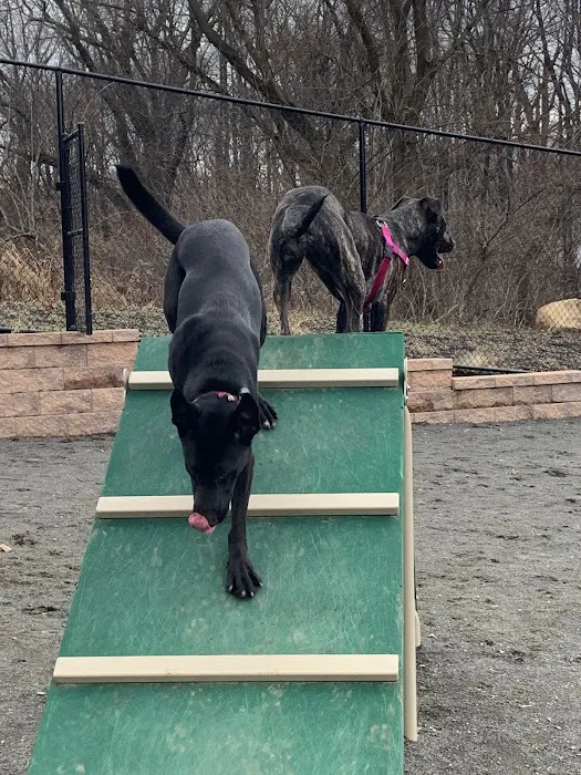 Hilltop Reservation Dog Park Picture 1