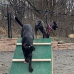 Hilltop Reservation Dog Park