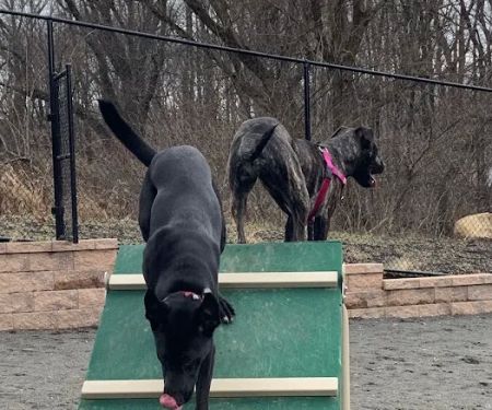 Hilltop Reservation Dog Park