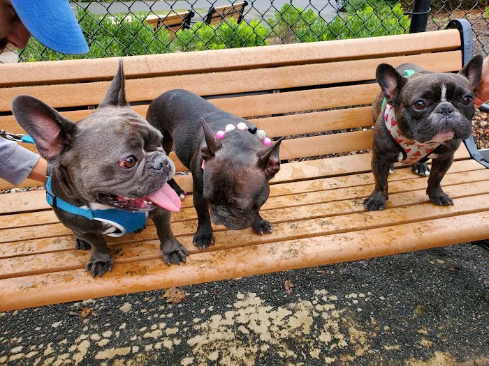 Hilltop Reservation Dog Park Picture 8