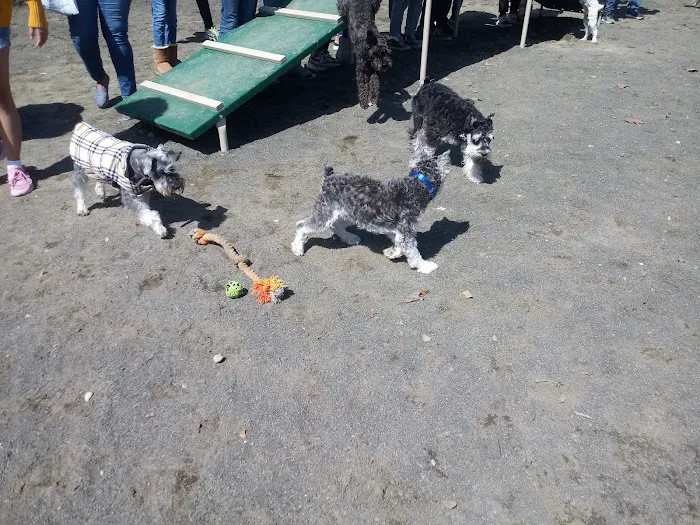 Hilltop Reservation Dog Park Picture 5