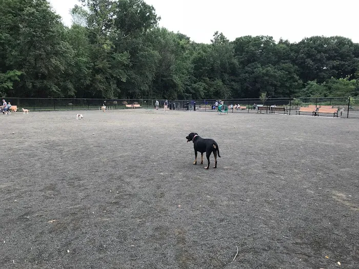 Hilltop Reservation Dog Park Picture 6