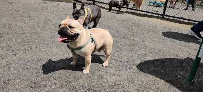 Hilltop Reservation Dog Park Picture 4