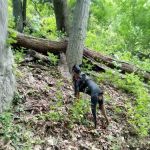 Hilltop Reservation
