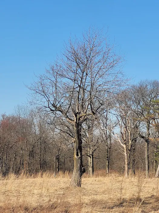 Hilltop Reservation Picture 7
