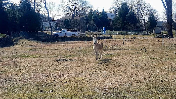 West Essex Trail Picture 7