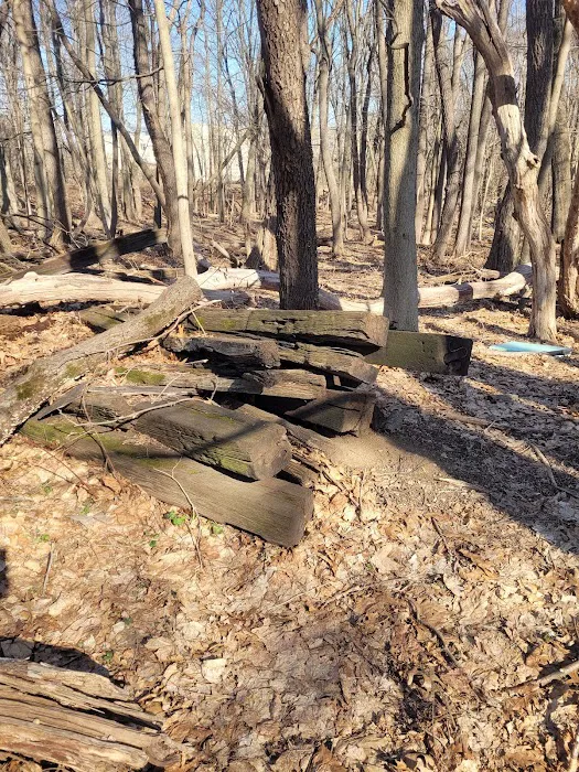 West Essex Trail Picture 10