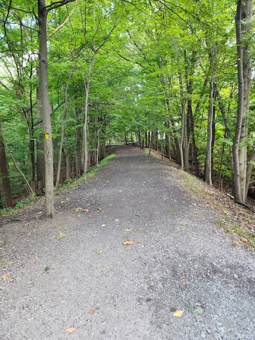 West Essex Trail Picture 6
