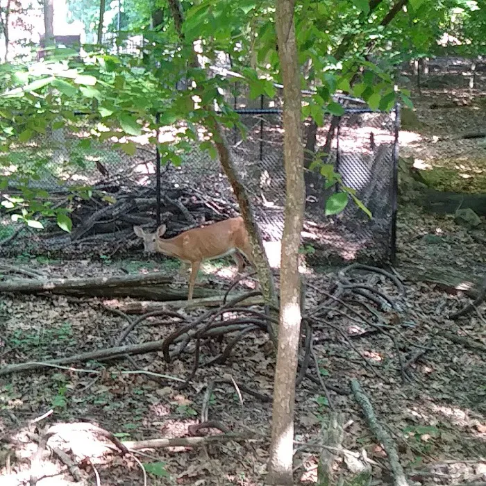 West Essex Trail Picture 8