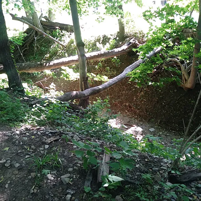 West Essex Trail Picture 9