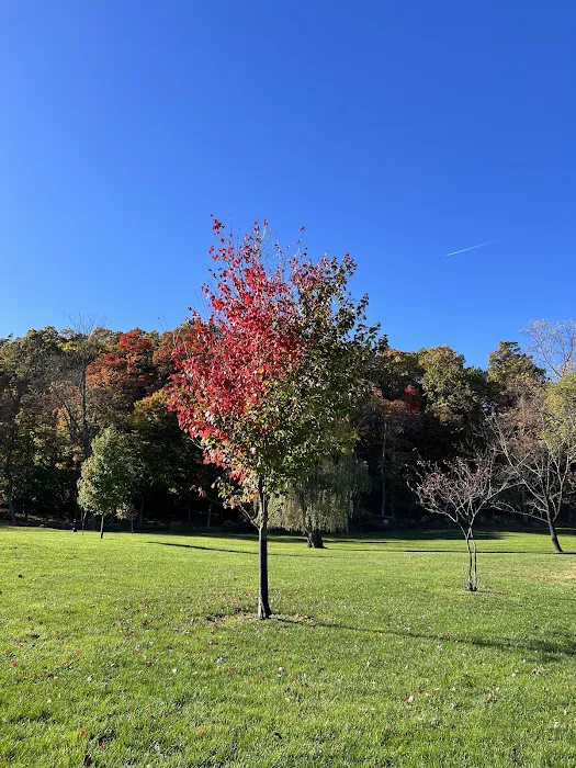 Cedar Grove Park Picture 2