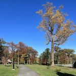 Cedar Grove Park