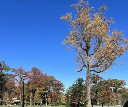 Cedar Grove Park