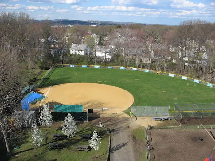 George Street Park Picture 5