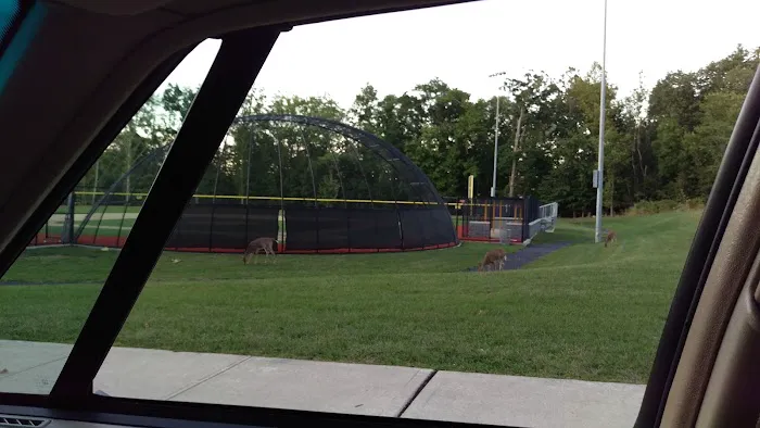 Panther Park Picture 3
