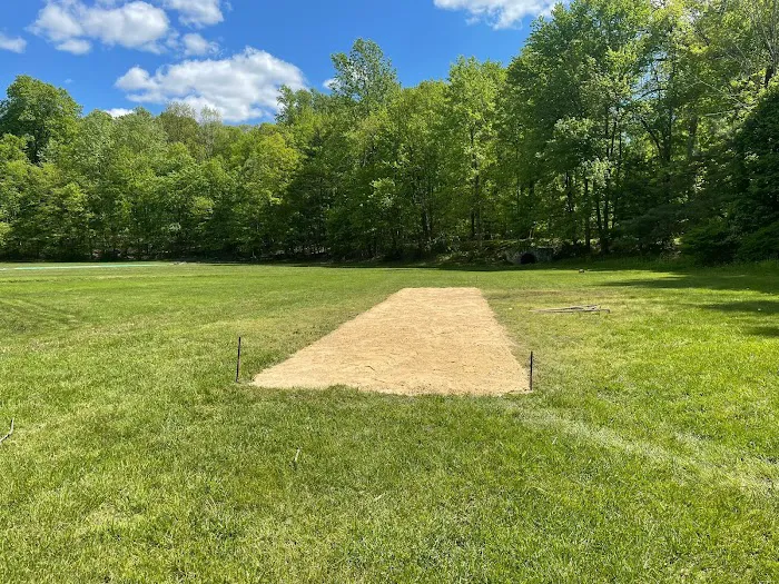 Sanskriti Cricket Field Picture 5