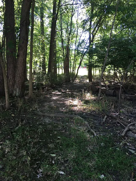 Jon's Harrison Trail Picture 2