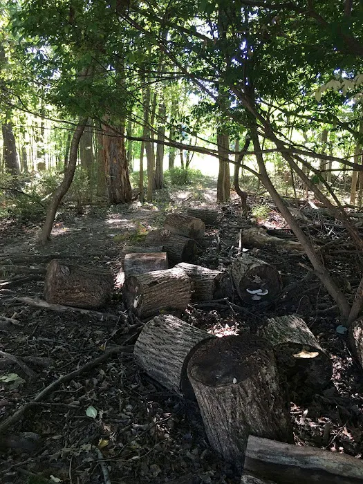 Jon's Harrison Trail Picture 6