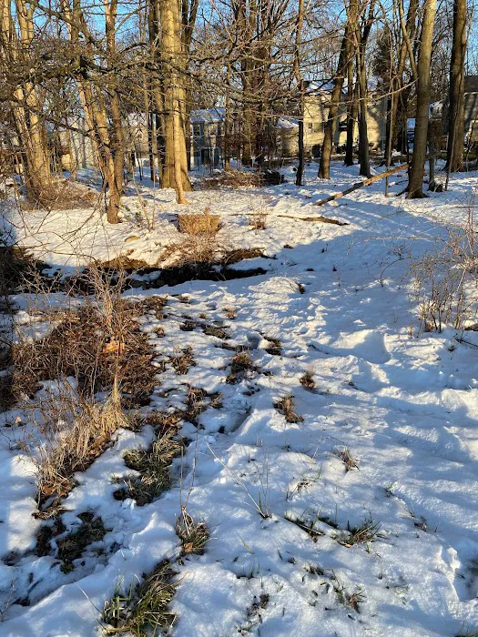 Jon's Harrison Trail Picture 10