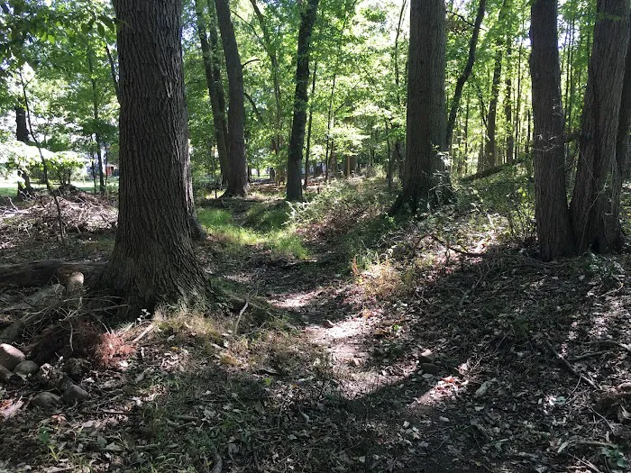 Jon's Harrison Trail Picture 7
