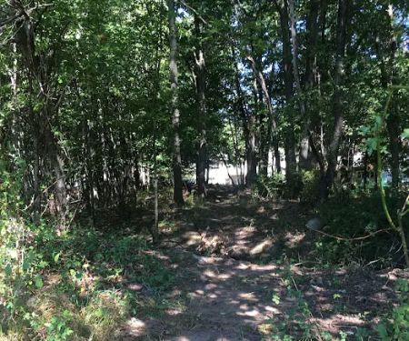 Jon's Harrison Trail