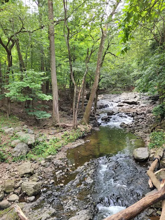 Cedar Grove Community Park Picture 1