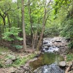 Cedar Grove Community Park