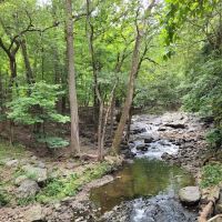 Cedar Grove Community Park ico