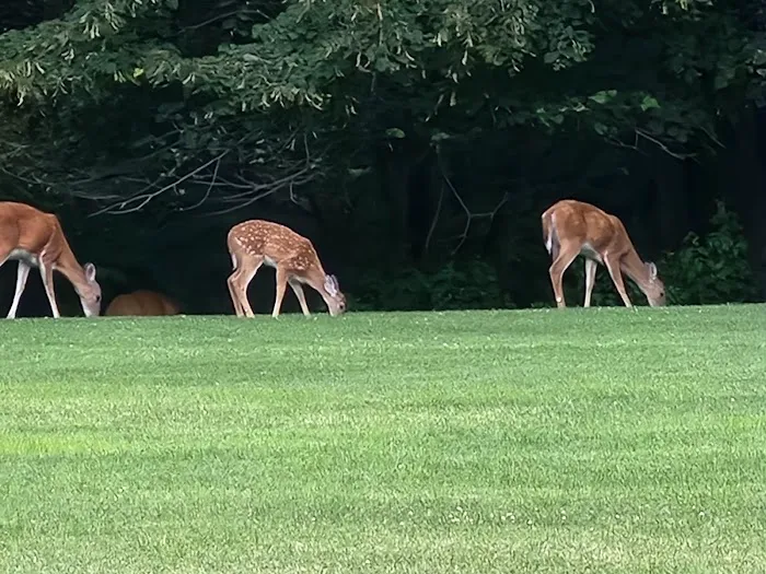 Cedar Grove Community Park Picture 5