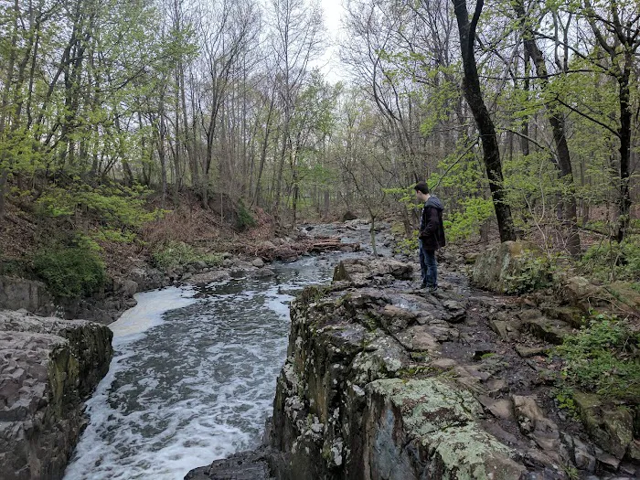 Cedar Grove Community Park Picture 3