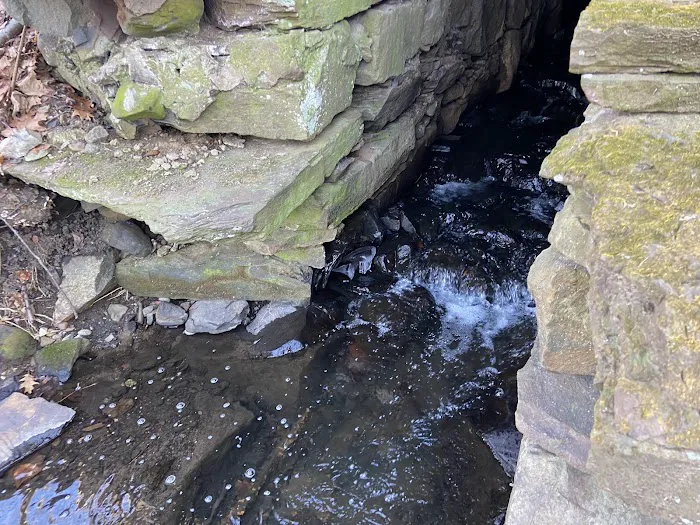 West Essex Trail Picture 7