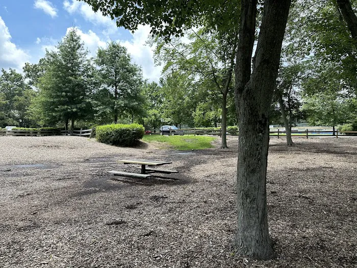 Lake Parsippany Park Picture 10