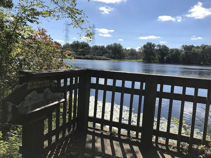 Bee Meadow Park Picture 1