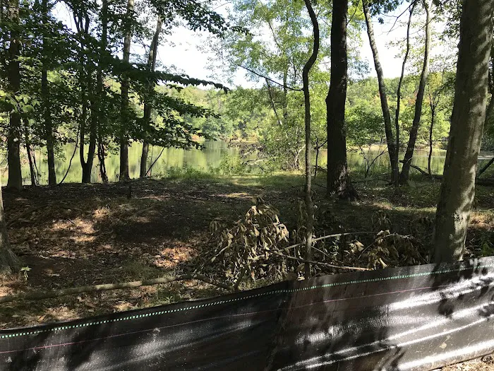 Bee Meadow Park Picture 4