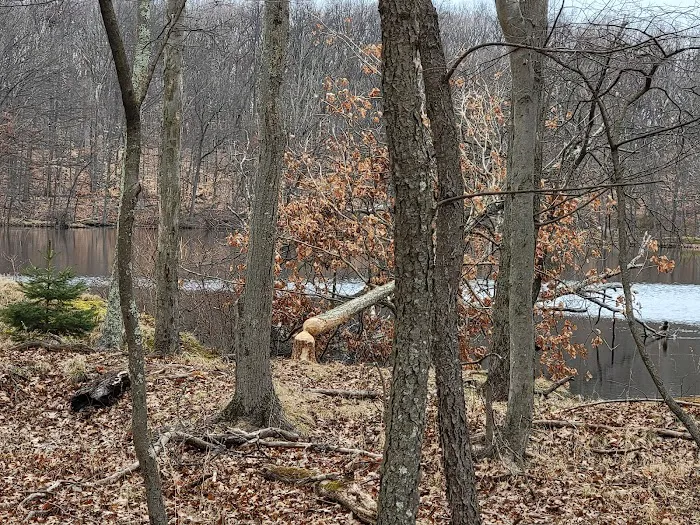 The Second Pond Picture 3