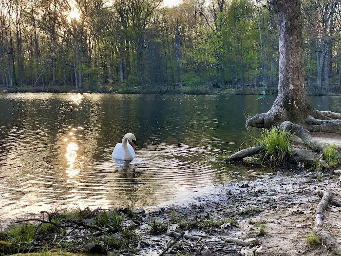 The Second Pond Picture 8