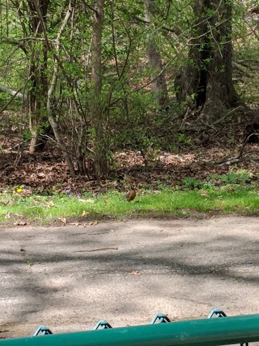 Black Brook Park Picture 3