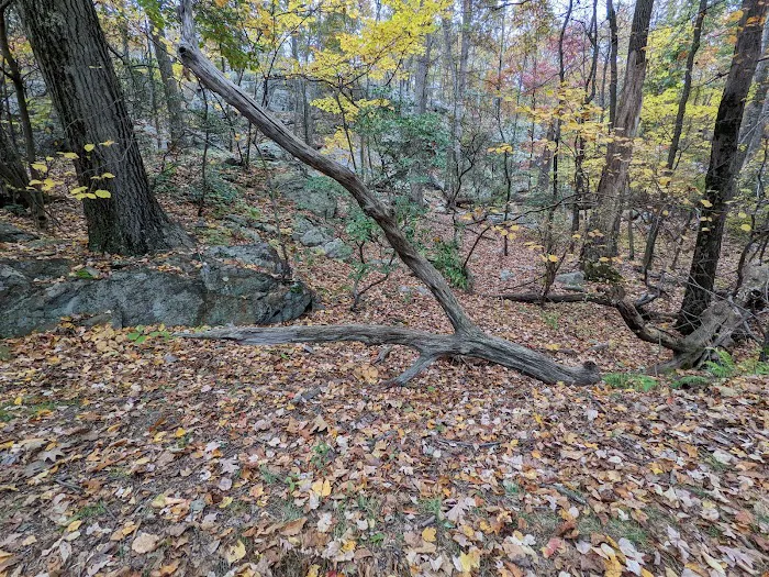 Ramapo Lake Trailhead Picture 7