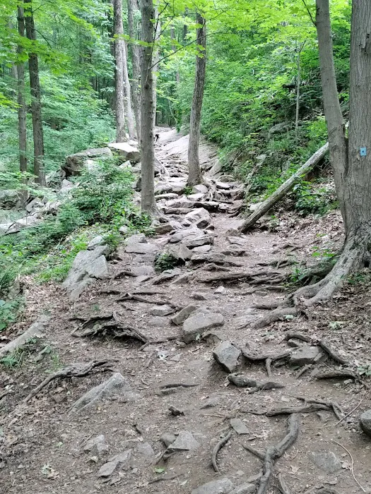 Ramapo Lake Trailhead Picture 9