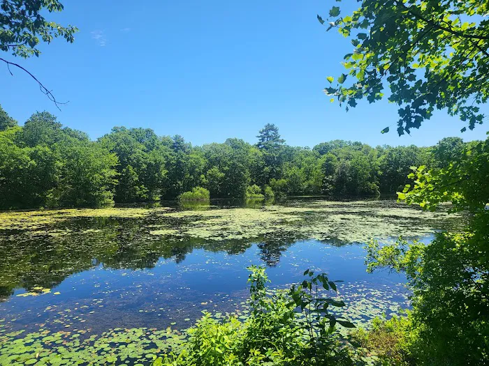 Ramapo State Forest Picture 7
