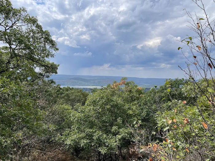 Ramapo State Forest Picture 3