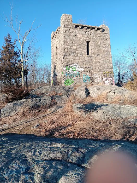 Ramapo State Forest Picture 1