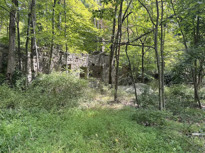 Ramapo State Forest Picture 8