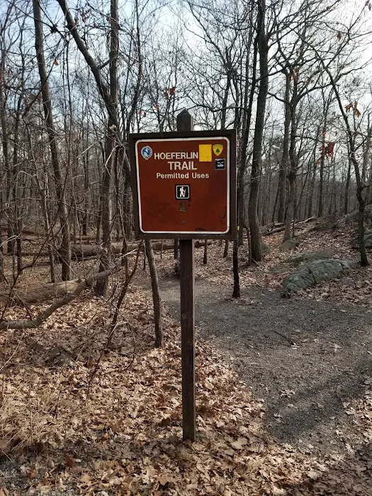 Ramapo State Forest Picture 2