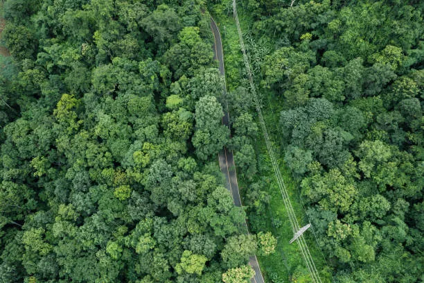 Ramapo State Forest Picture 4